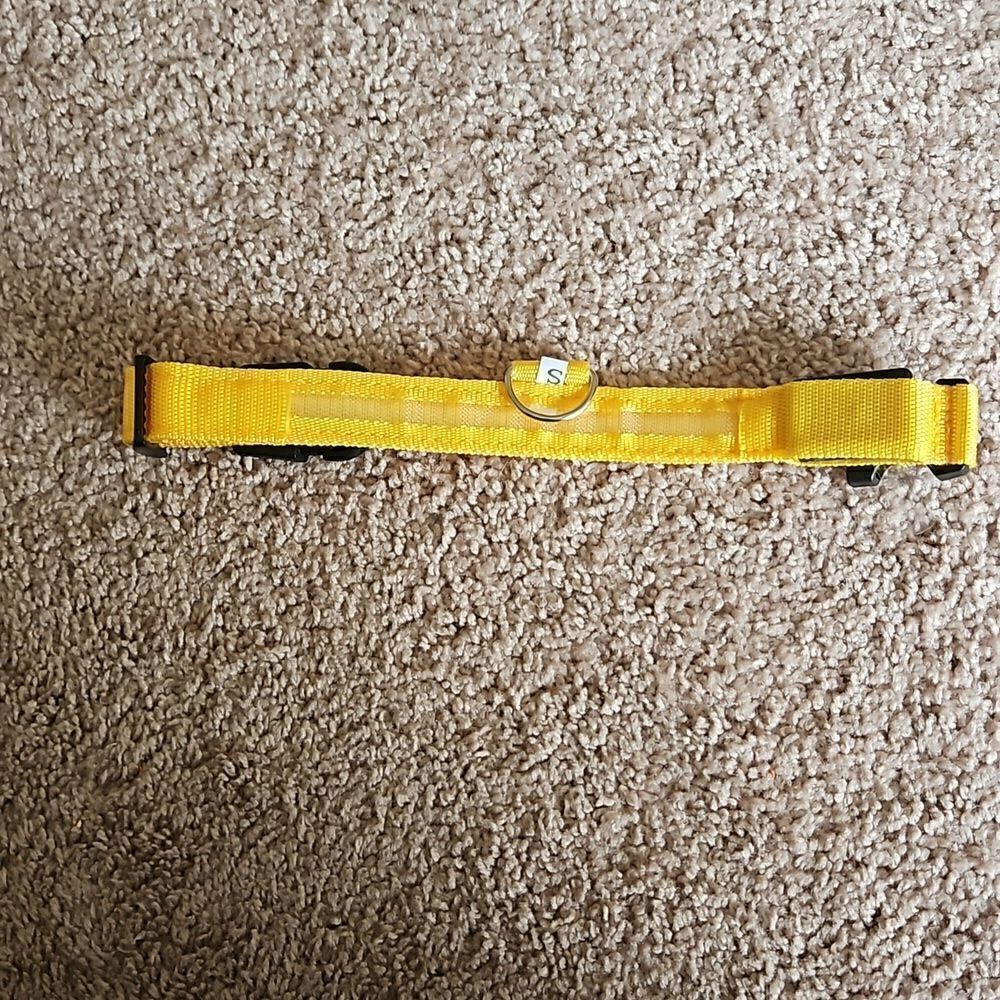 NWOT Glow in the dark LED dog collar